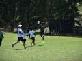 Tn dsc 0850